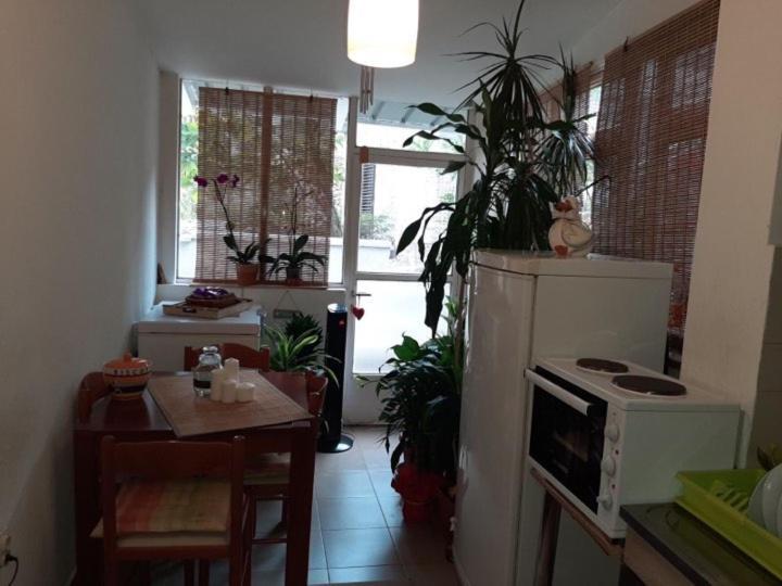 Guest House Ivan Budva Bagian luar foto